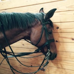 Meet your Posher, Deb